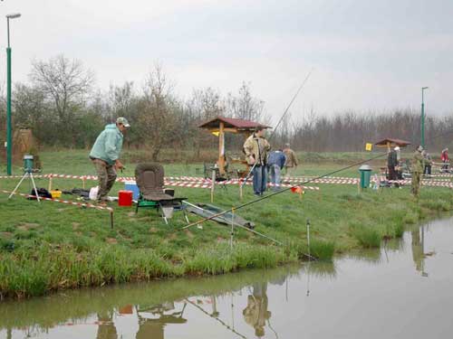 Concurs de pescuit "Cupa Costin"